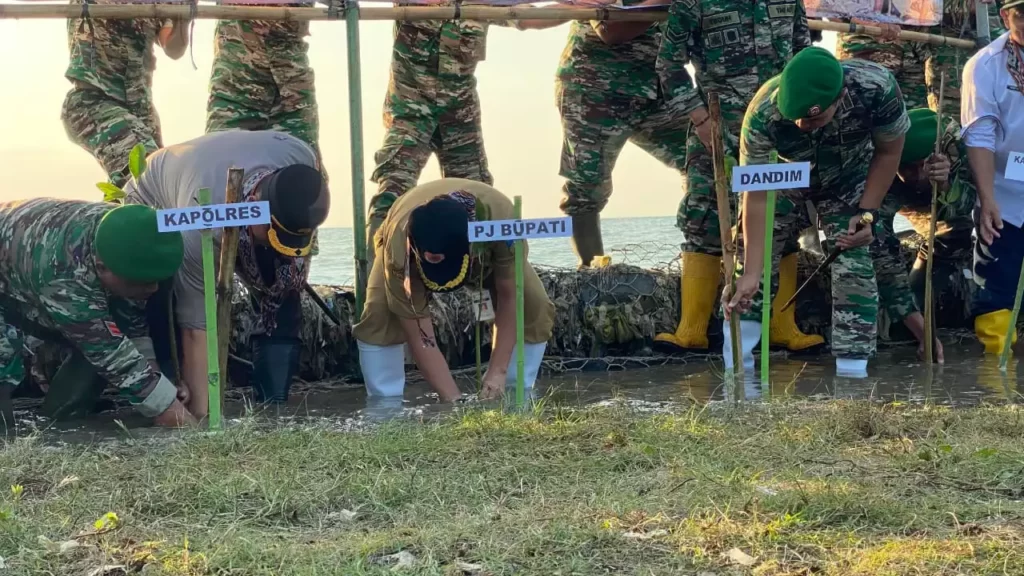 Gerakan Penanaman Mangrove Nasional, Kodim Jepara Tanam Mangrove di Pantai Bulakbaru