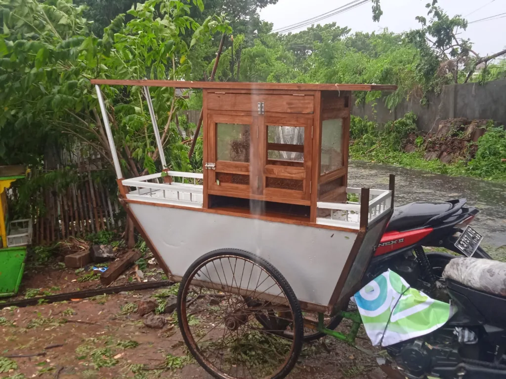 Hujan Angin Kencang di Jepara Banyak Pohon Tumbang dan Rumah Mengalami Rusak